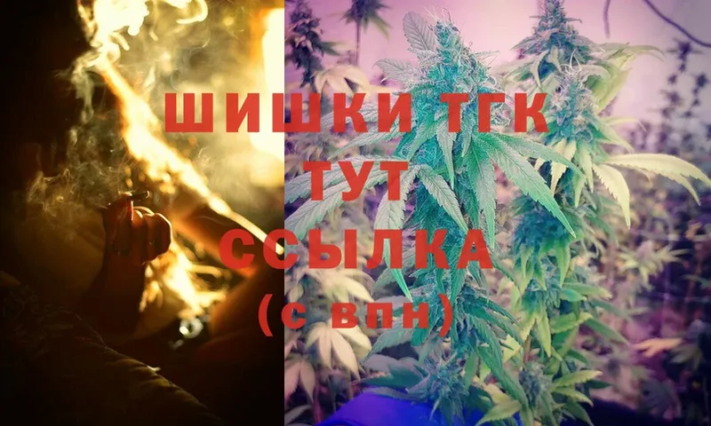 Марихуана OG Kush  Солигалич 